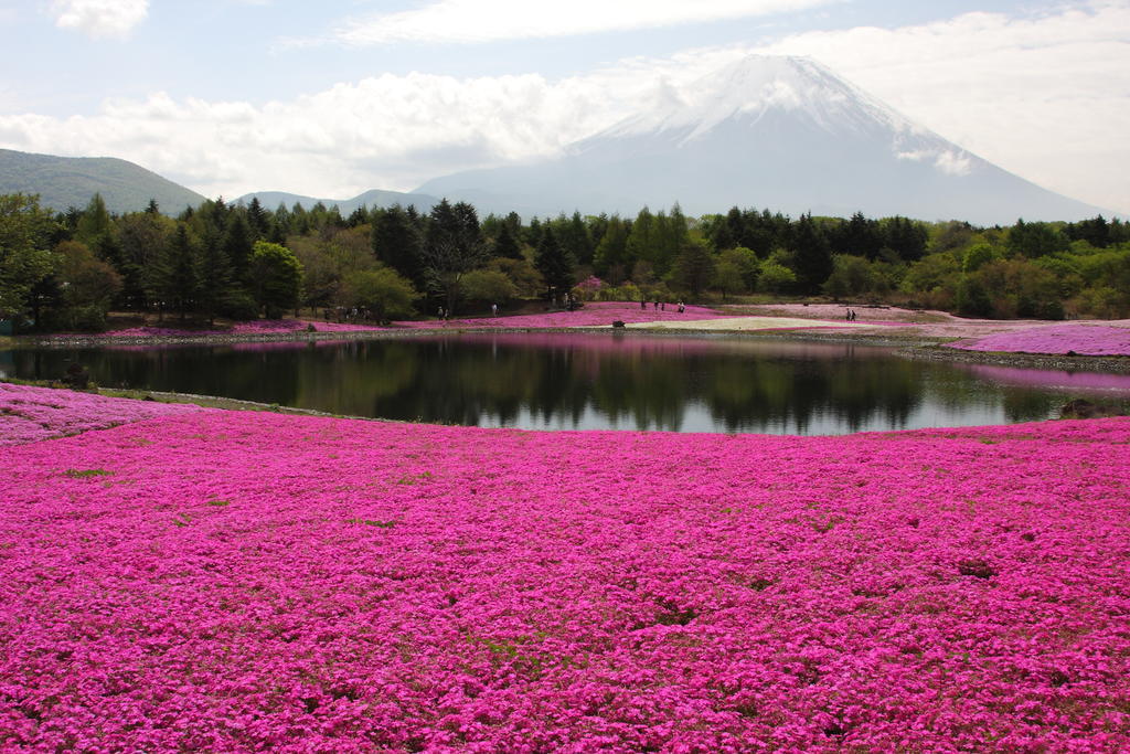 Gasthof Melange Fujikawaguchiko Esterno foto