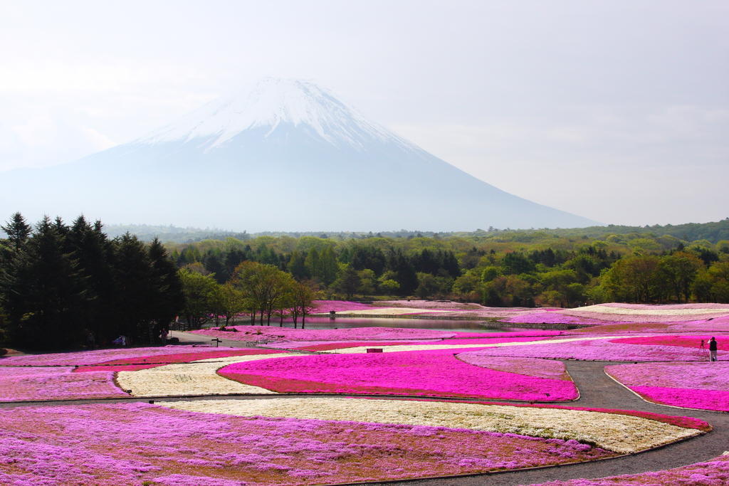 Gasthof Melange Fujikawaguchiko Esterno foto