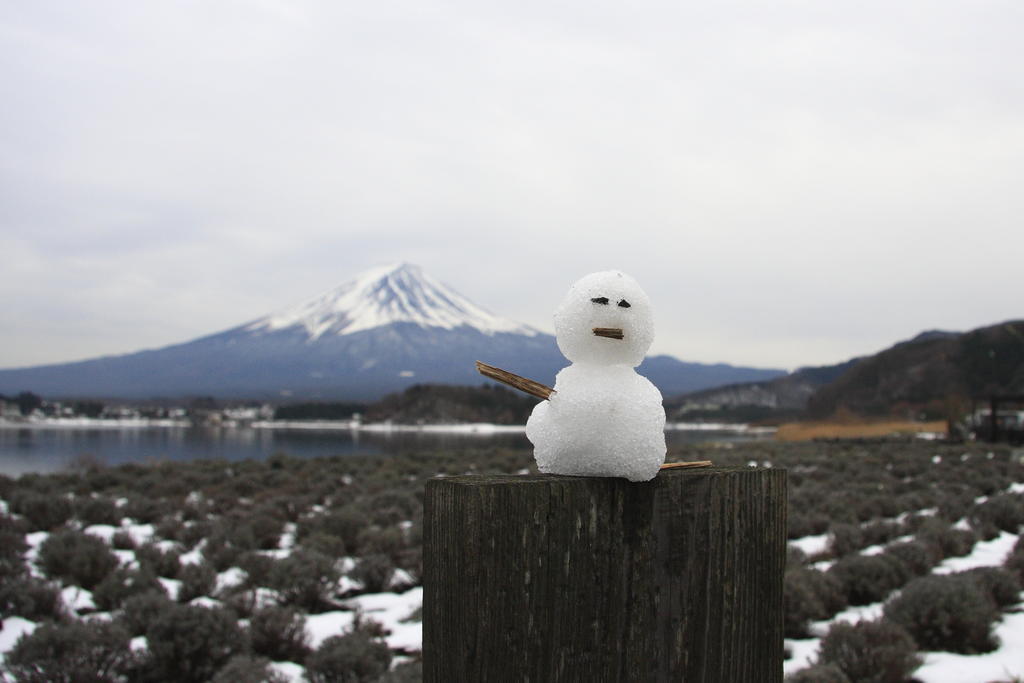 Gasthof Melange Fujikawaguchiko Esterno foto